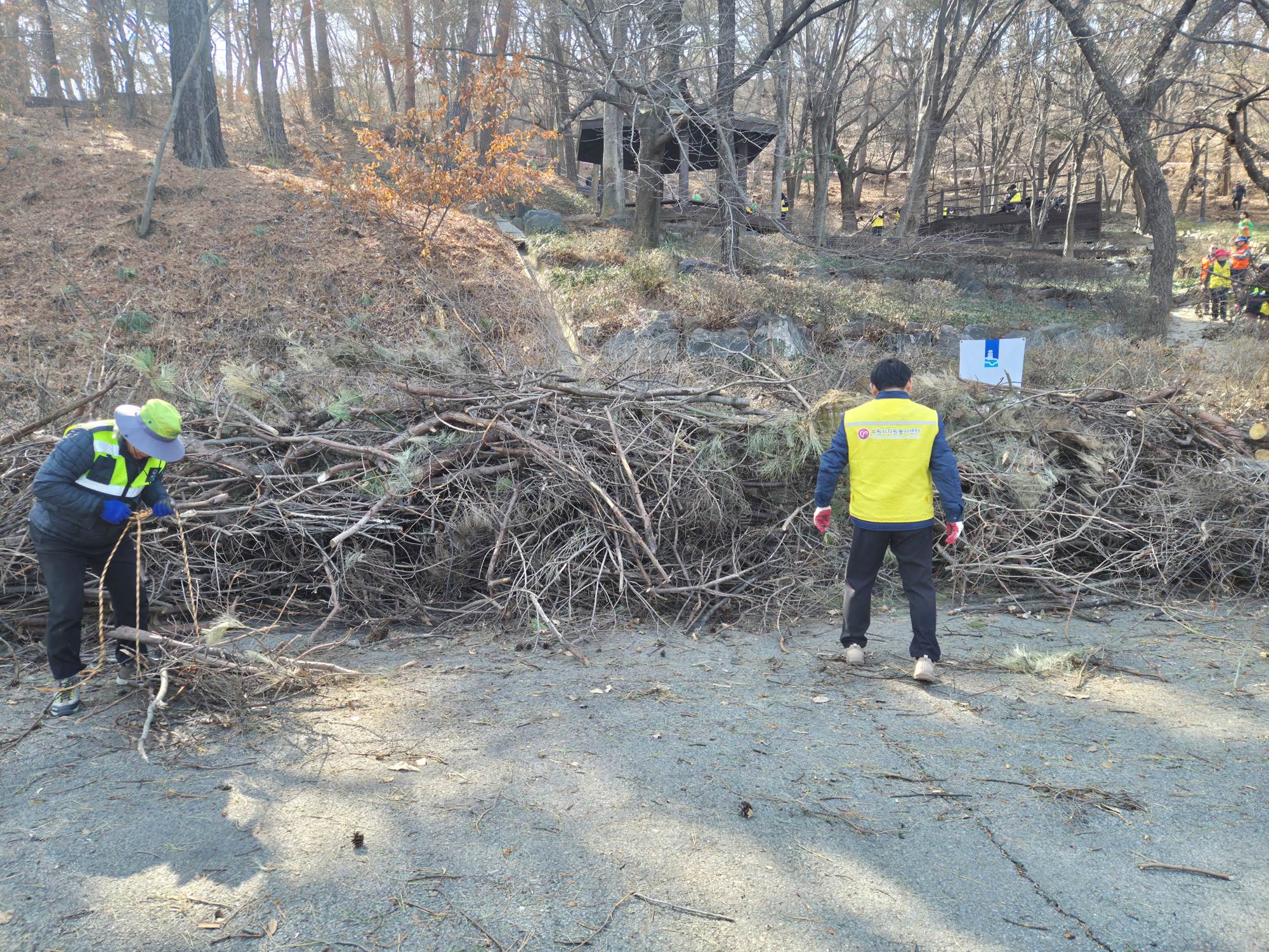 [자원봉사 기자단] <br> 폭설의 상처 위에 쌓인 연대… 팔달산을 다시 세우다