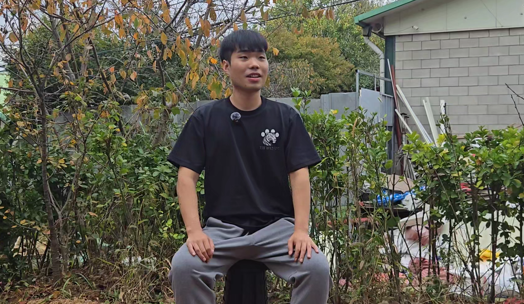 반려동물 권리보호 단체 더와일드아이